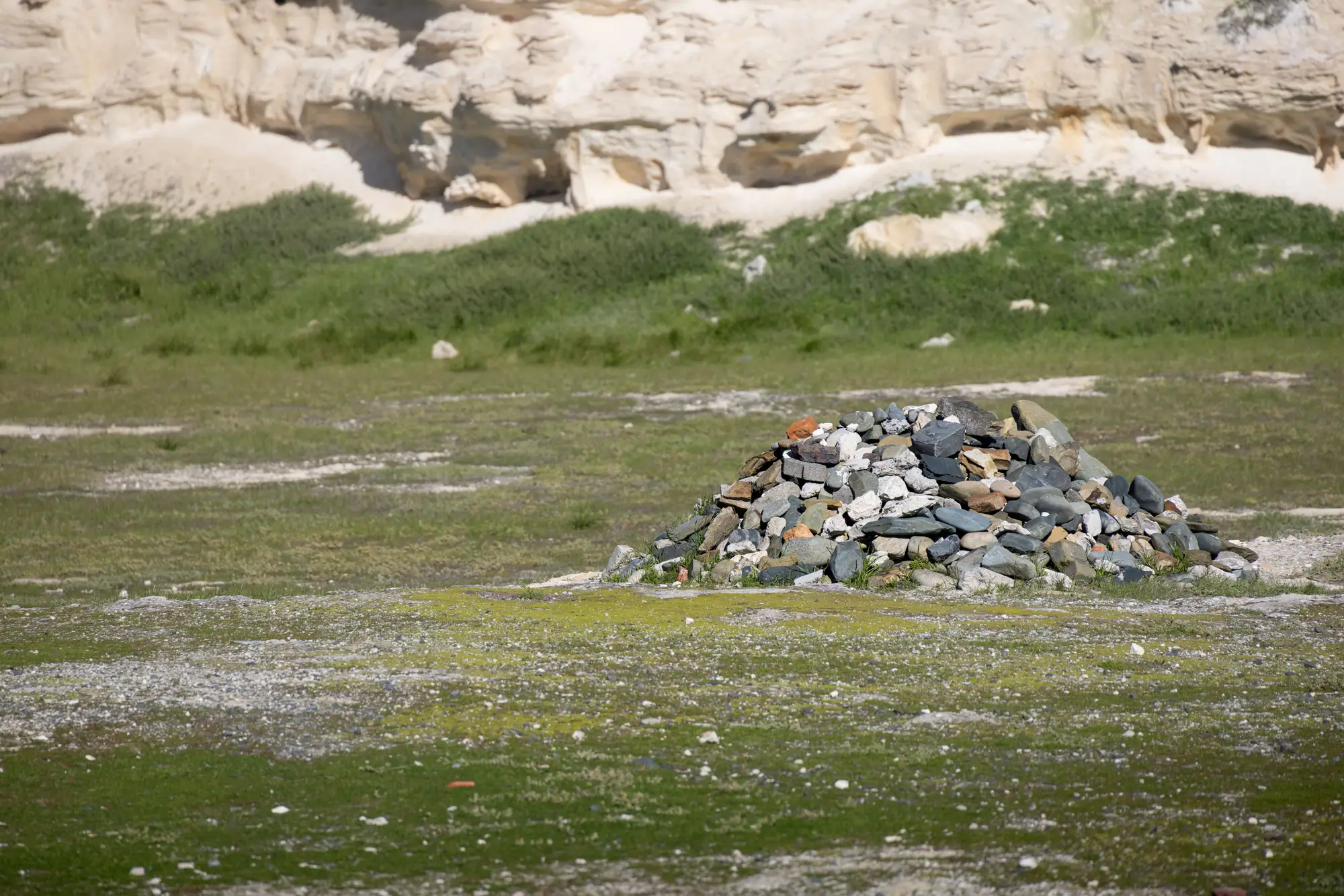 Thin grass and moss coming back over crushed stone on a quarry floor, below a pale limestone face